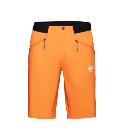 Шорти Mammut Aenergy Light So Shorts SS2024