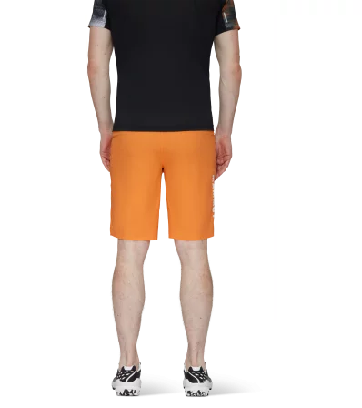 Шорти Mammut Aenergy Light So Shorts SS2024