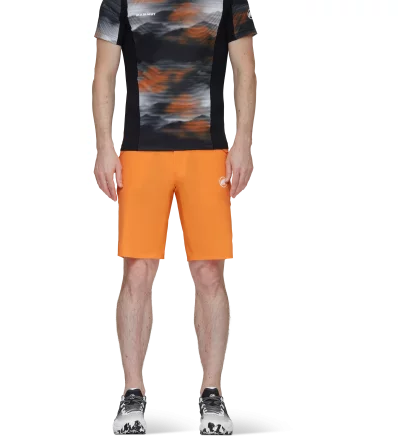 Шорти Mammut Aenergy Light So Shorts SS2024