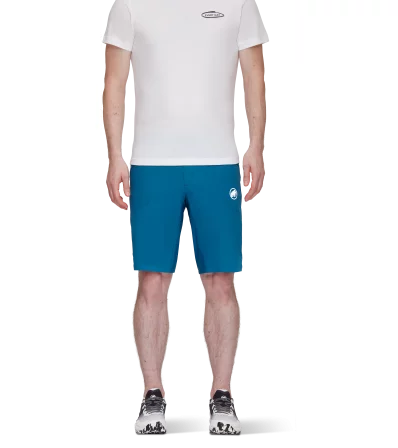 Шорти Mammut Aenergy Light So Shorts SS2024