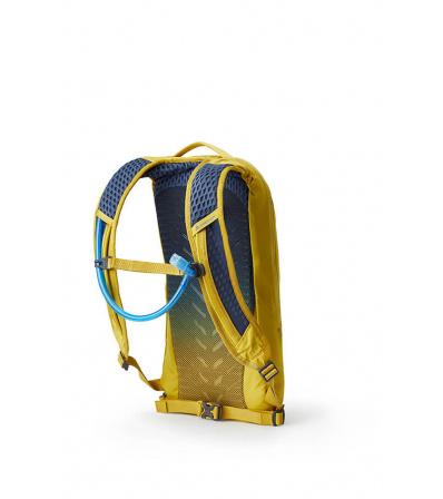 Раница Gregory Pace 6L H2O Winter 2024