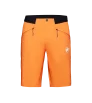 Шорти Mammut Aenergy Light So Shorts SS2024