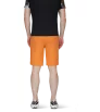 Шорти Mammut Aenergy Light So Shorts SS2024