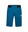 Шорти Mammut Aenergy Light So Shorts SS2024